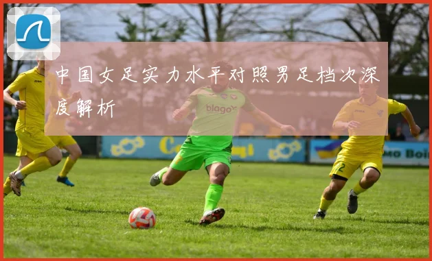 中国女足实力水平对照男足档次深度解析