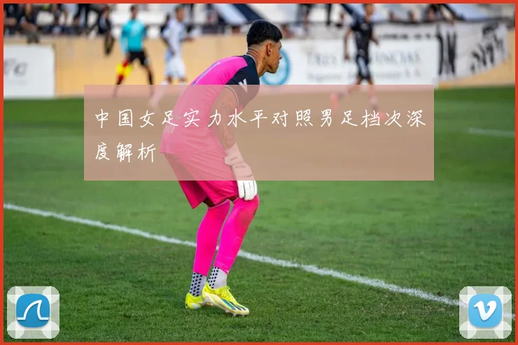 中国女足实力水平对照男足档次深度解析
